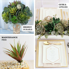 3 Pack 13" Assorted Artificial Yucca Aloe Vera Succulent Air Plants