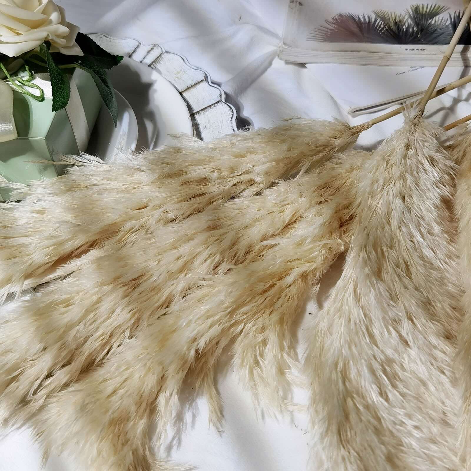 6 Stems Natural Dried Pampas Grass Decor Wheat Tint - Versatile Plant Sprays for Boho Chic Vase Displays Backdrops & Event Styling 32"