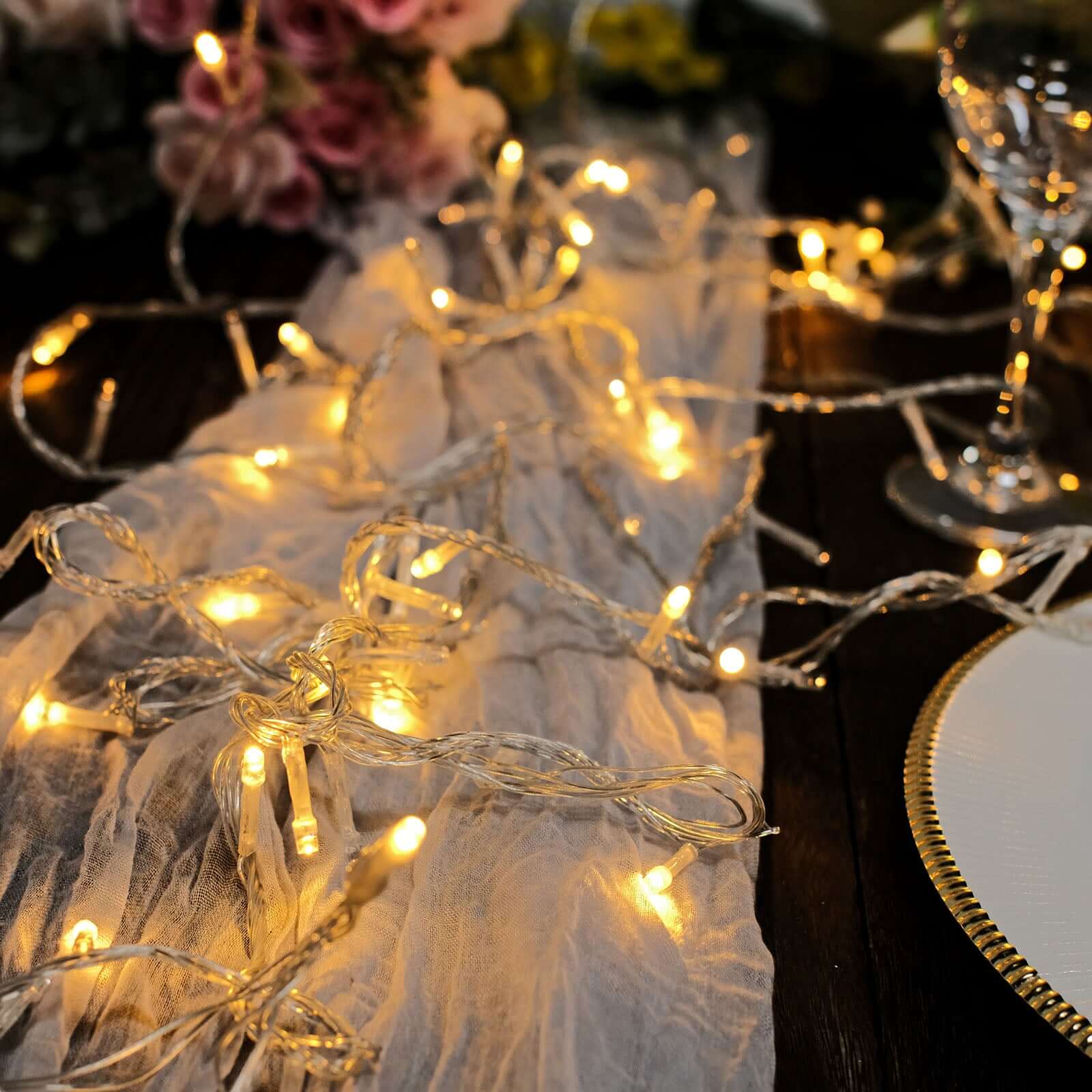 30ft Warm White 100 LED Connectable String Lights, 120V Fairy Lights