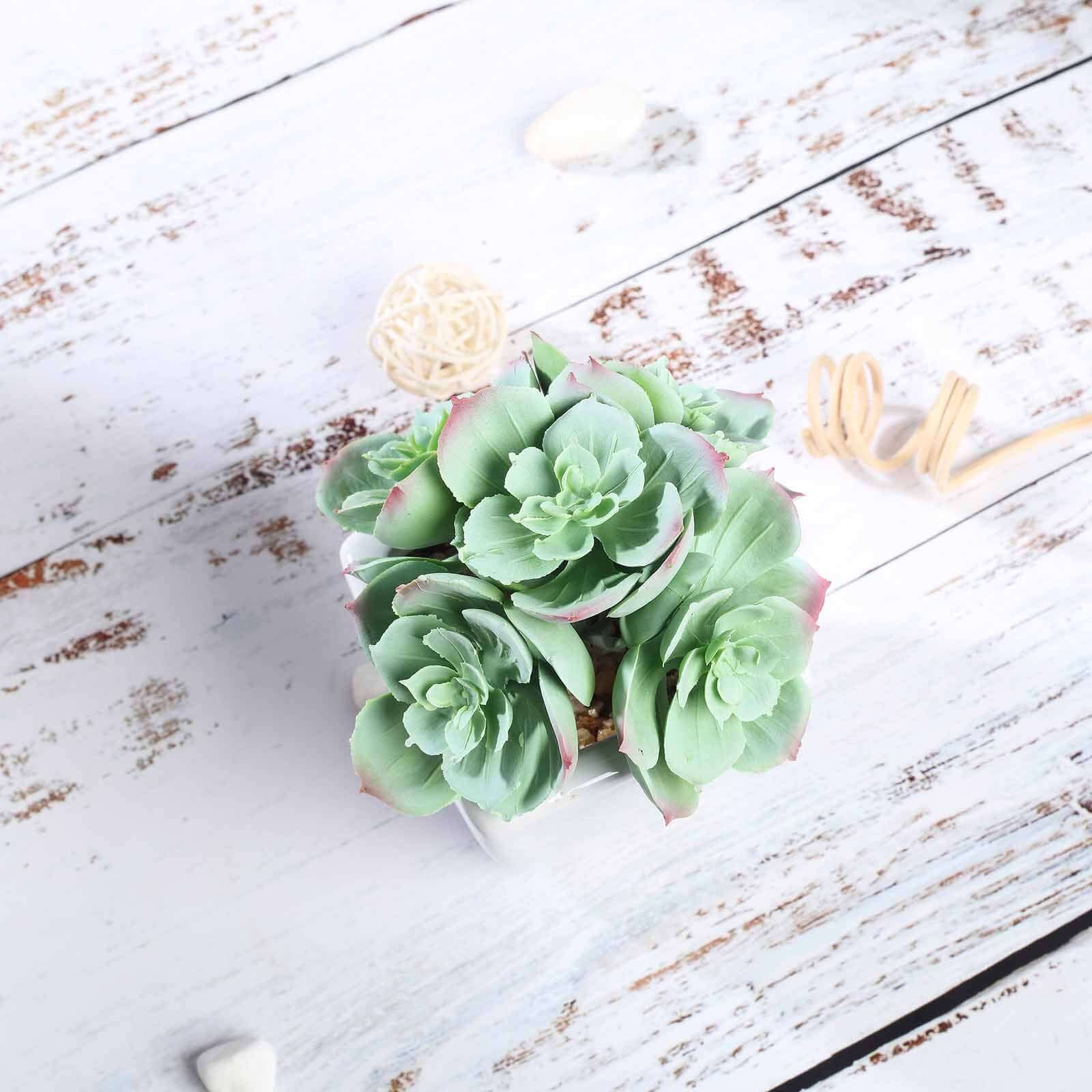 3-Pack Echeveria Elegans Artificial Succulents in Ceramic Pot - Lifelike Decorative Faux Plants for Home Office & Event Design 5"