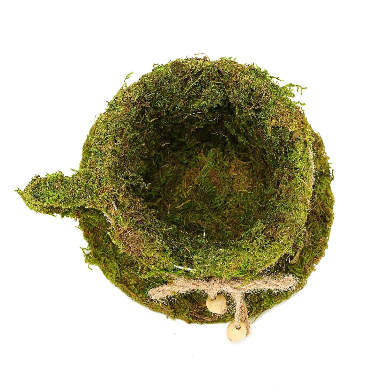 Set of 2 Teacup Shaped Planter Boxes Preserved Moss with Twine Green - Flower Basket Centerpieces 5", 4"