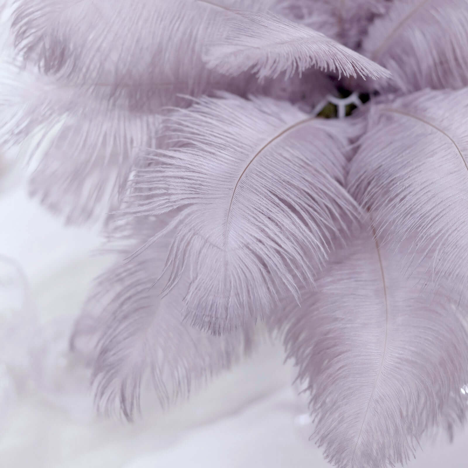 12 Pack 13"-15" Violet Amethyst Natural Plume Real Ostrich Feathers, DIY Centerpiece Fillers