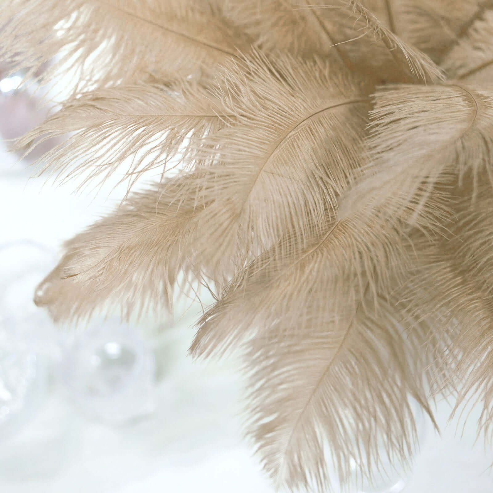 12 Pack 13"-15" Beige Natural Plume Real Ostrich Feathers, DIY Centerpiece Fillers