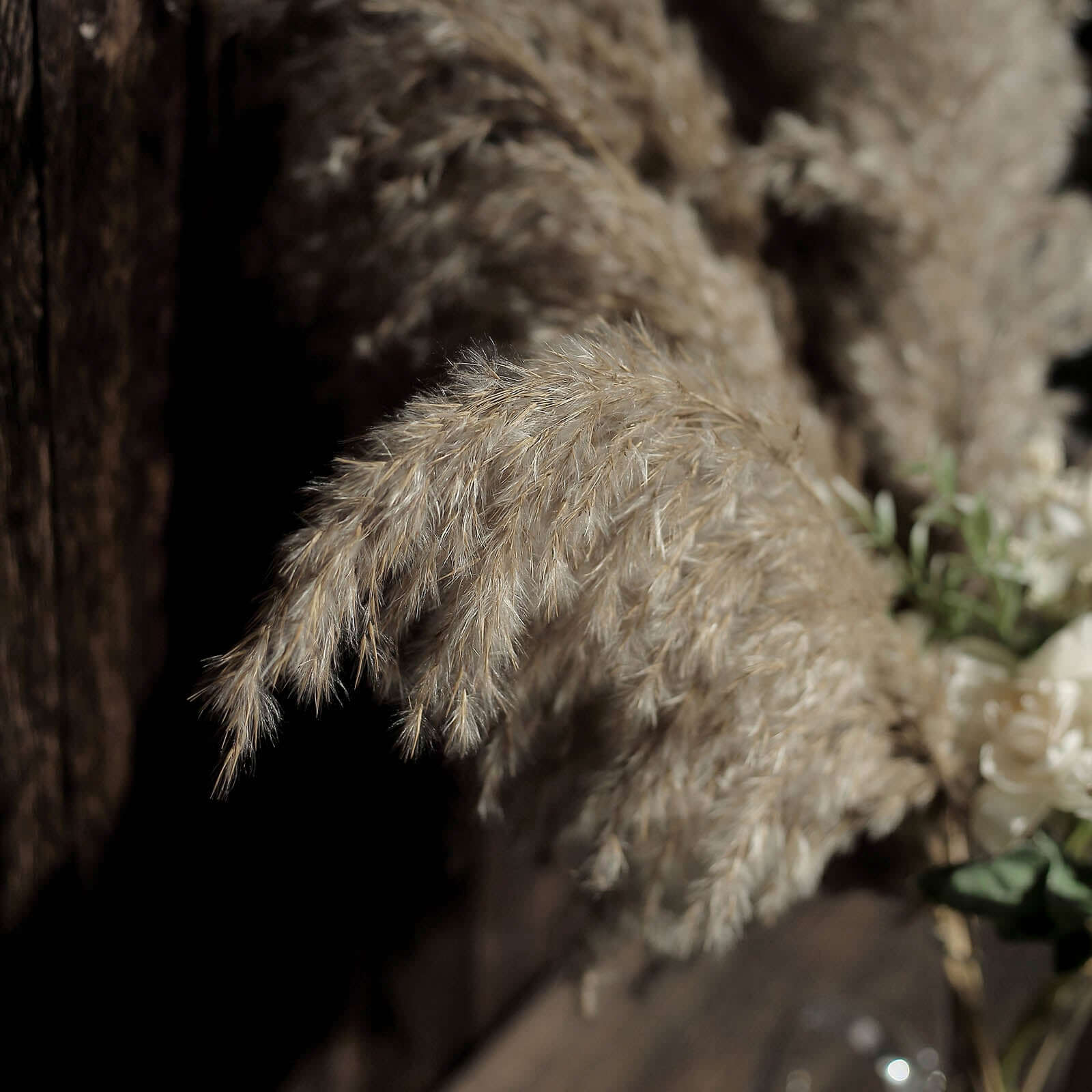 6 Stems Natural Dried Pampas Grass Decor Natural Tint - Versatile Plant Sprays for Boho Chic Vase Displays Backdrops & Event Styling 32"