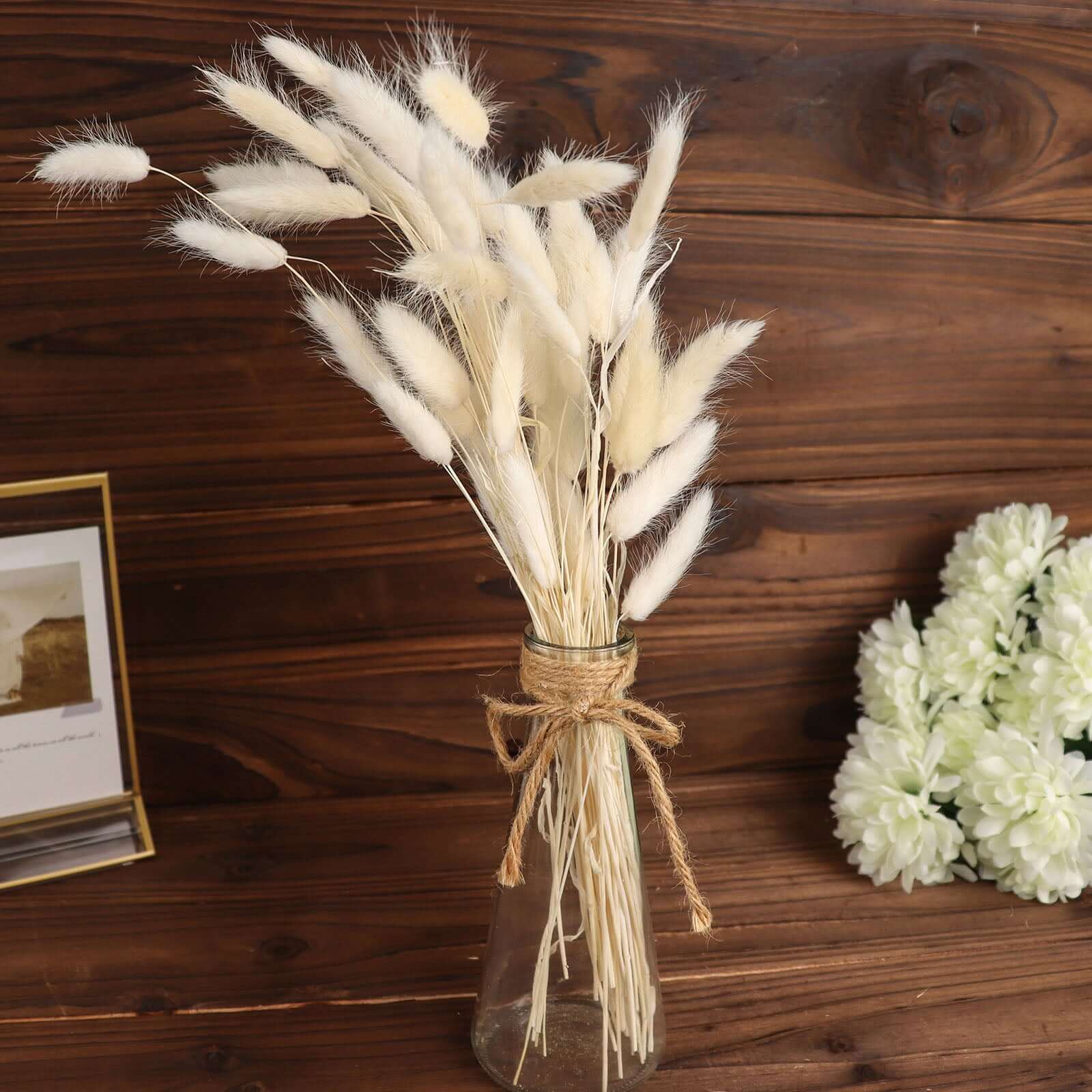 50-Pack Dried Bunny Tail Grass Natural White - Rustic Chic Lagurus Ovatus Rabbit Tail Ornamental Grass for Modern Farmhouse Decor Event Styling & Floral Displays 15"