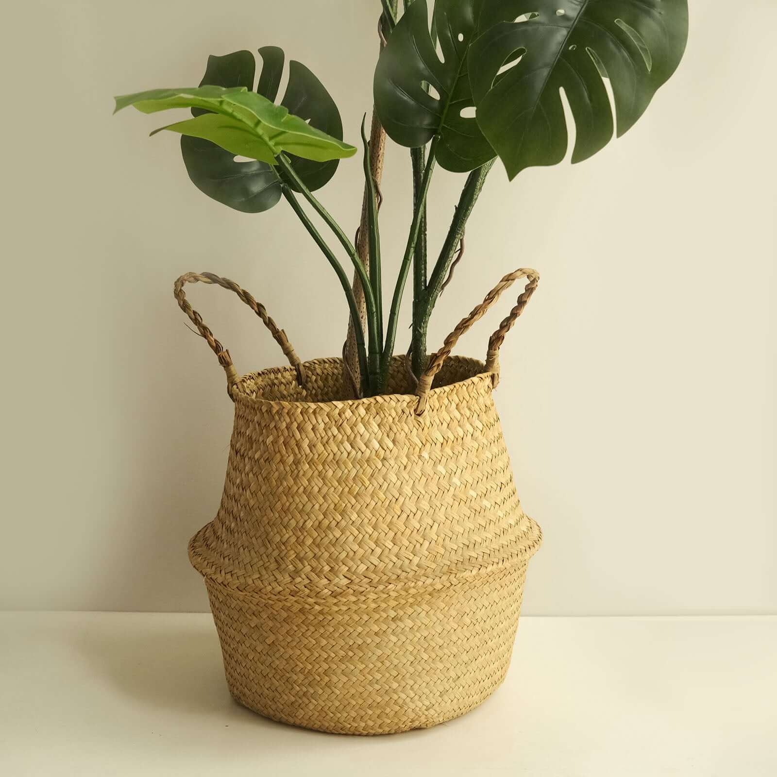 Set of 2 Woven Seagrass Plant Belly Baskets - Natural Handcrafted Braided Storage Wicker Bin Planter with Handles for Living Room Closet & Kitchen Organization