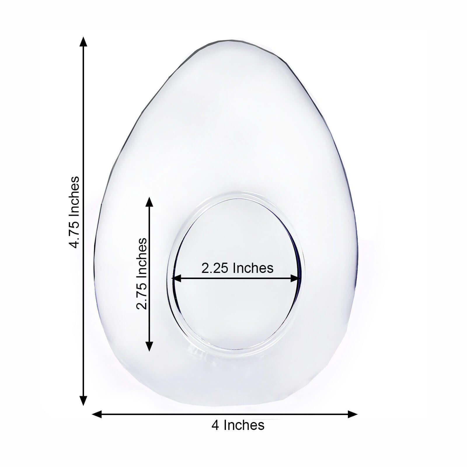 6-Pack Glass Terrarium Self-Standing Egg Shaped Design - Modern Planter for Air Plants & Displays 5"