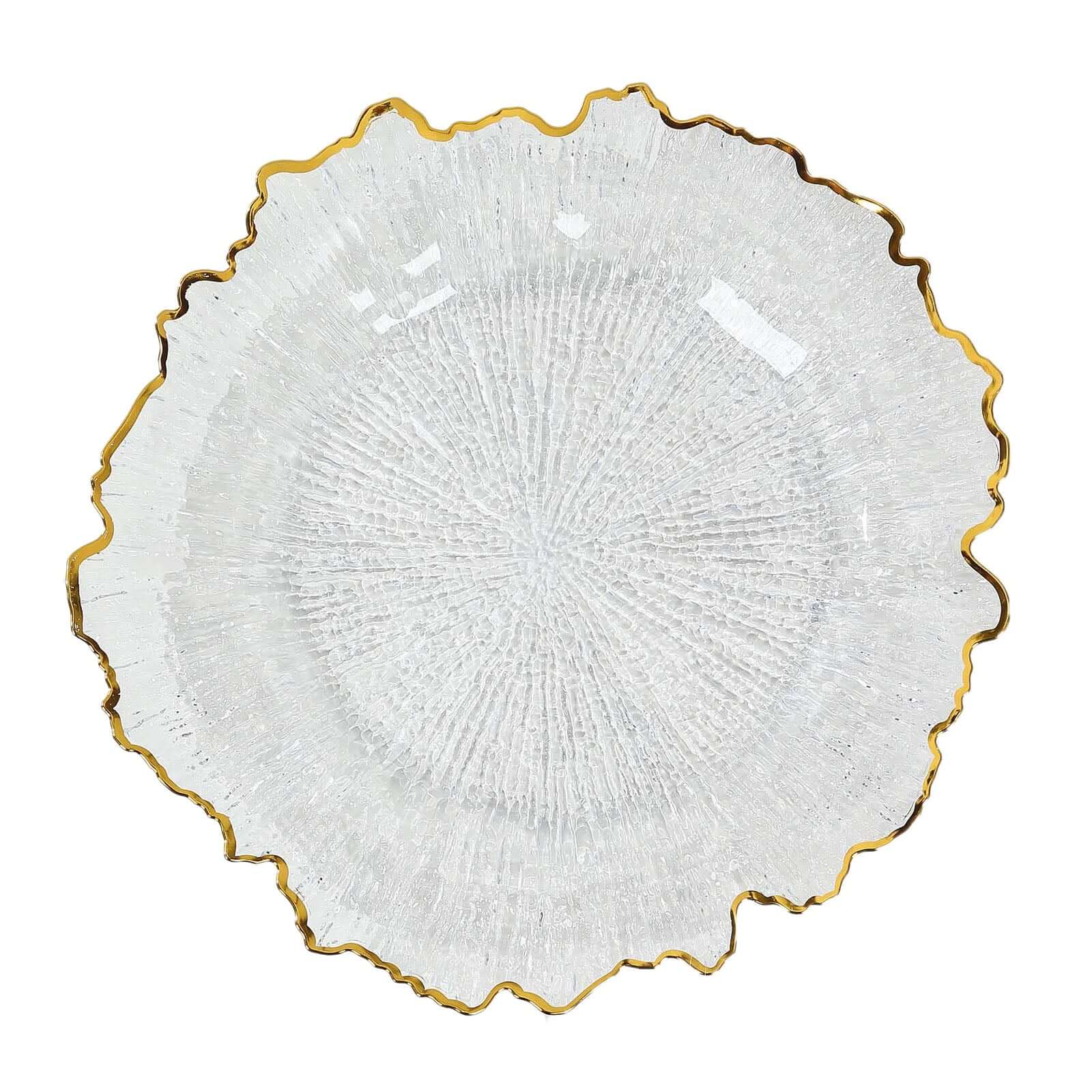 6-Pack Plastic Round Charger Plates 12" in Clear Reef Design with Gold Rim, Decorative Dinner Party Serving Plates
