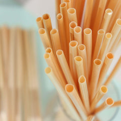 100-Pack Compostable Straws Plant Based 100% Plastic Free - Sustainable Biodegradable Wheat Straws 9"