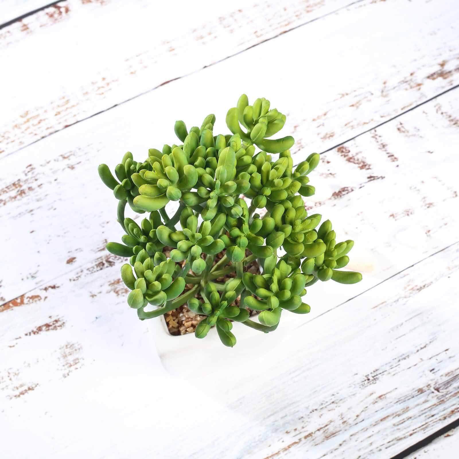 3-Pack Stonecrop Artificial Succulents in Ceramic Pots - Lifelike Decorative Faux Plants for Home Office & Event Design 7"