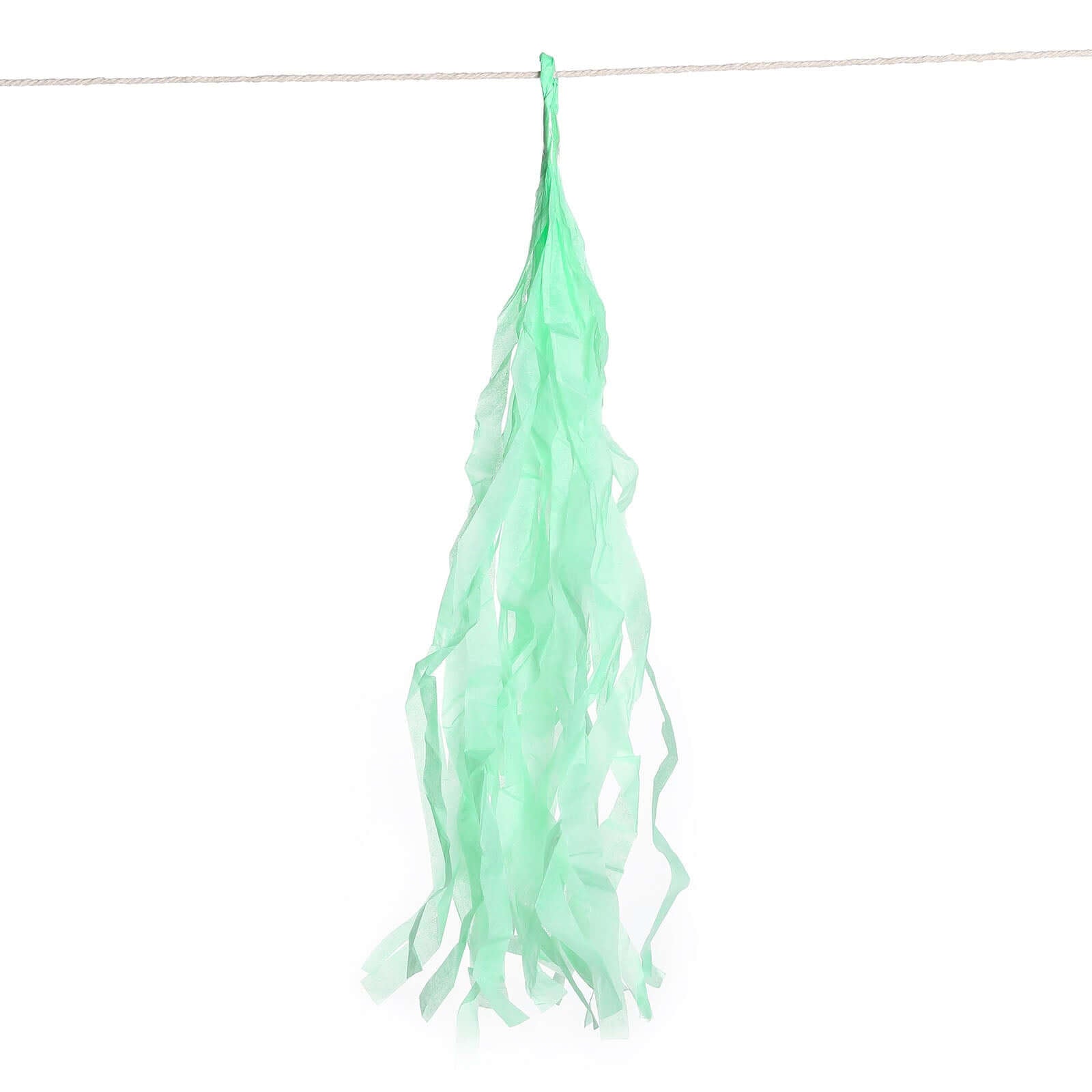 12 Pack Pre-Tied Mint Tissue Paper Tassel Garland With String, Hanging Fringe Party Streamer Backdrop Decor