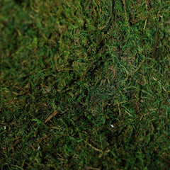 18"x16" Preserved Natural Moss Wall Sheet Roll, Moss Landscape Panel