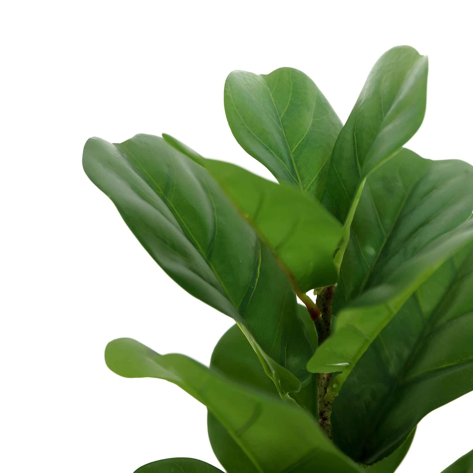 2 Bushes 25" Green Artificial Fiddle Leaf Branch Stems, Faux Plants