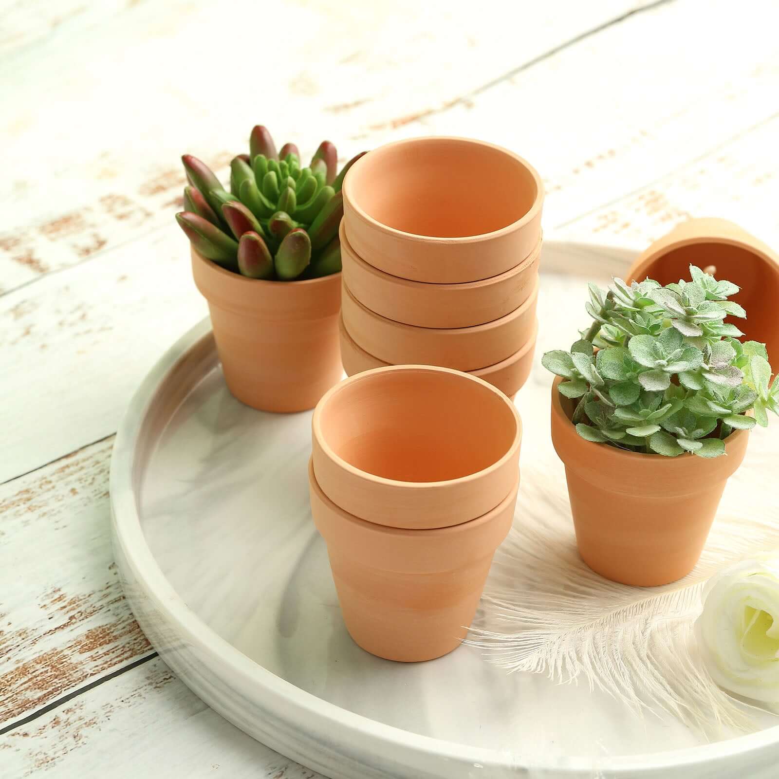 24-Pack Favor Buckets Mini Terracotta Pots Rust Design - Ceramic Clay Planters for Succulents and Cactus 2.5"