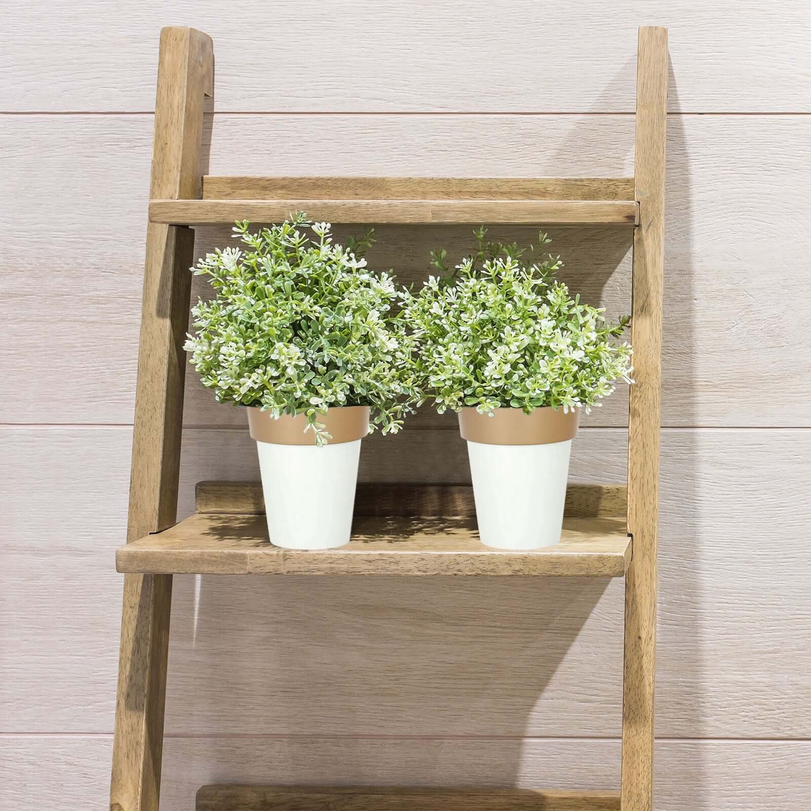 2-Pack Flower Plant Pots Medium Design White with Gold Rim - Plastic Indoor Decorative Planters 6"