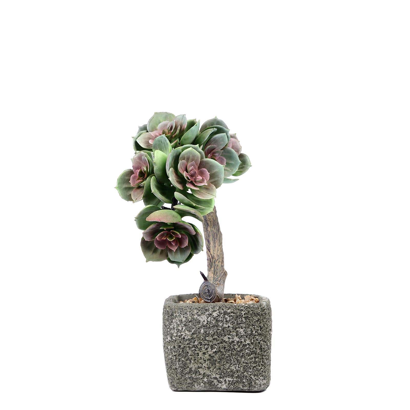 Perle Von Nurnberg Artificial Succulents in Concrete Pot - Lifelike Decorative Faux Plants for Home Office & Event Design 8"