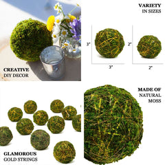 12-Pack Moss Ball Vase Fillers Handmade with Golden Twine Natural Preserved - DIY Decorative Craft Projects 2"