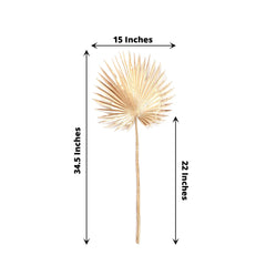 2-Pack Artificial Palm Leaf Stems Metallic Gold - Glam Tropical Faux Plant Vase Filler Floral Backdrop Table Decor 34"