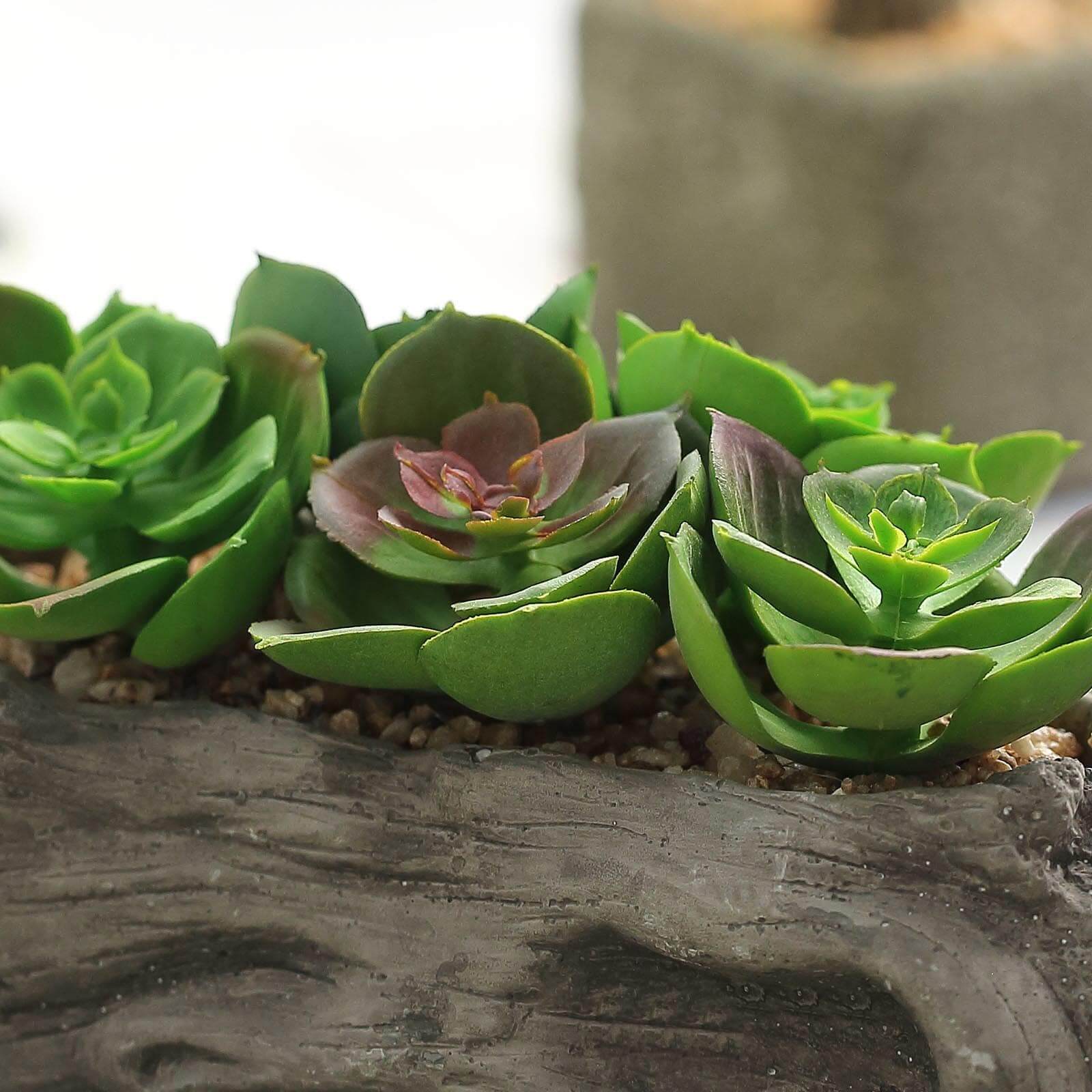 Perle Von Nurnberg Artificial Succulents Arrangements in 7" Log Planter - Lifelike Faux Plant for Stylish Home Bathroom Tabletop Indoor Outdoor Greenery Decor