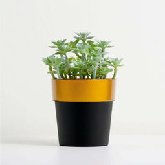 3-Pack Flower Plant Pots Small Design Black with Gold Rim - Plastic Indoor Decorative Planters 3"