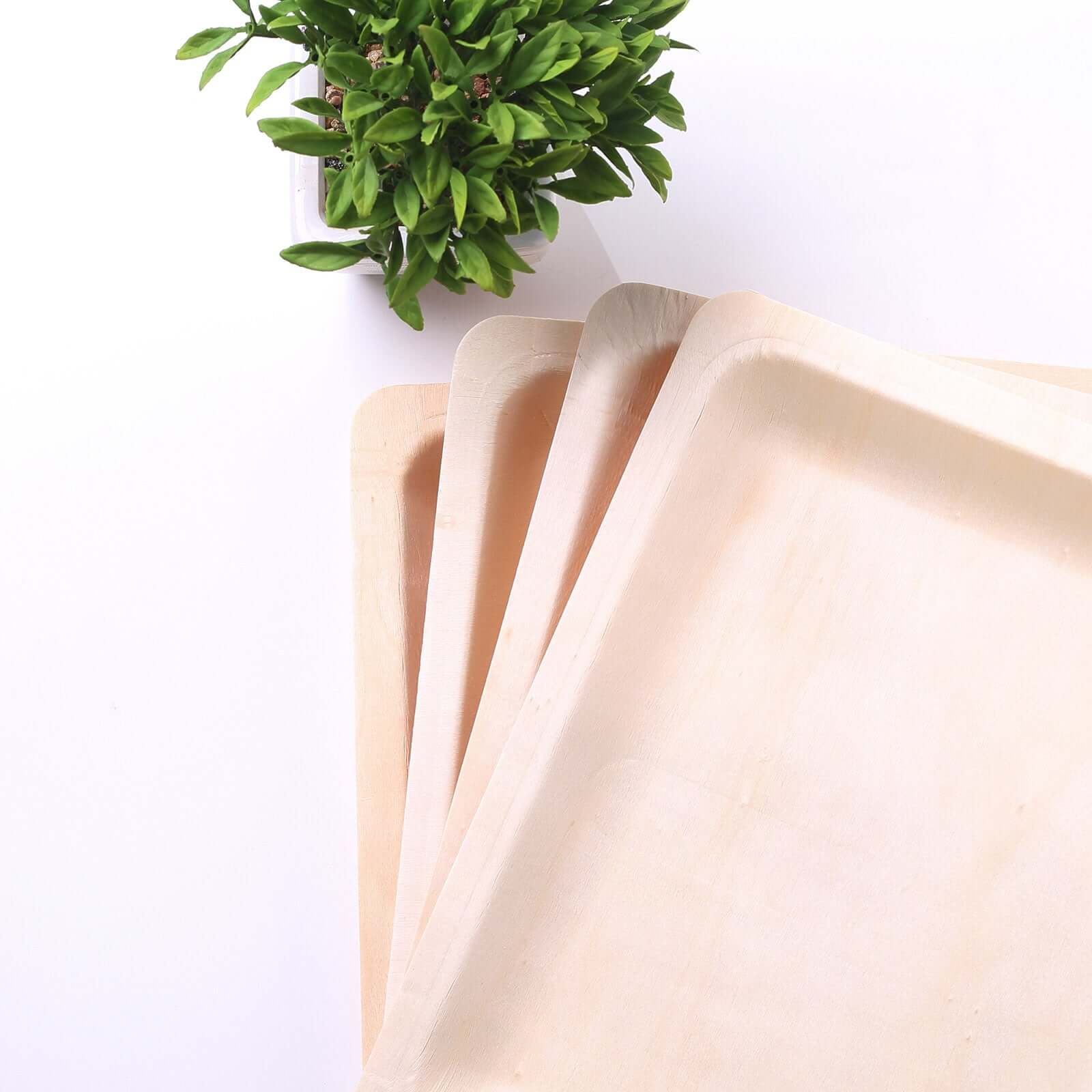 12-Pack Birchwood 8"x10" Rectangle Dinner Plates - Natural Eco Friendly Wooden Disposable Plates for Farmhouse-Style Events, Parties & Gatherings