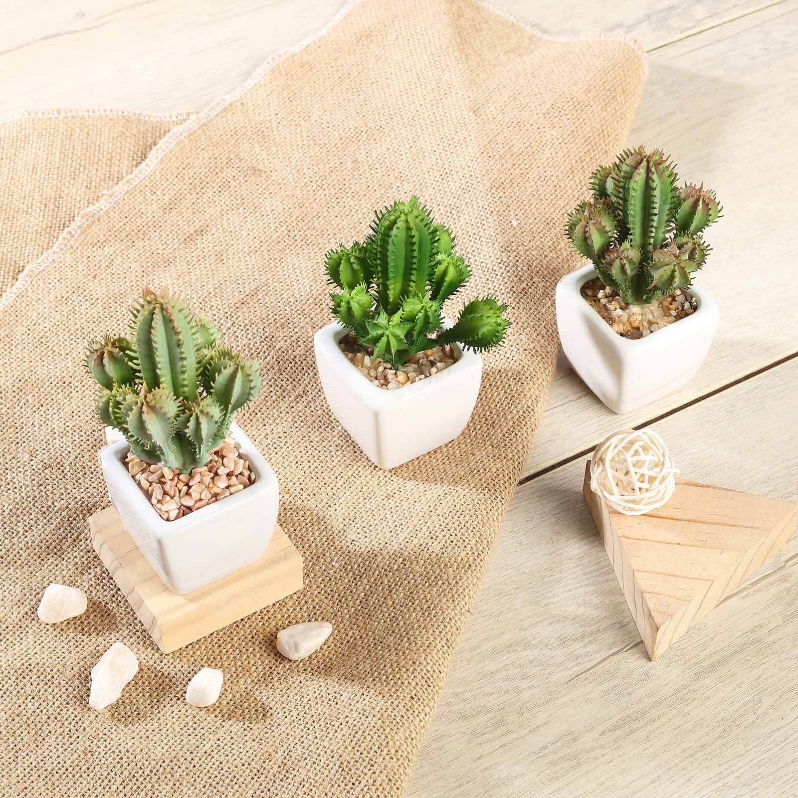 3-Pack Cacti Artificial Succulents in Ceramic Pot - Lifelike Decorative Faux Plants for Home Office & Event Design 5"