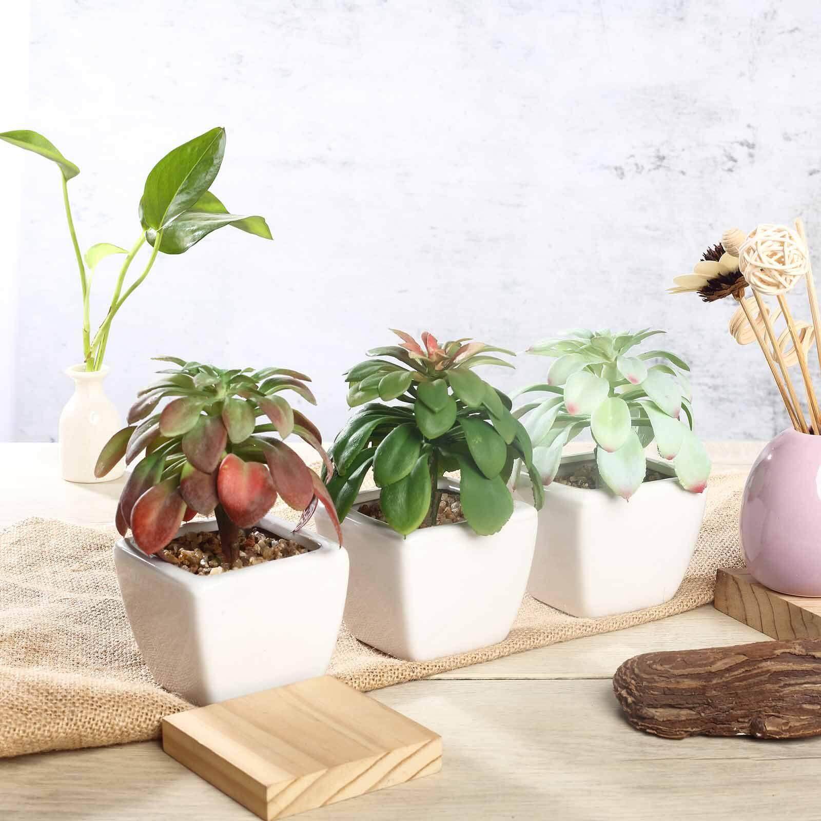 3-Pack Minibelle, Elegans & Grassneri Artificial Succulents in Ceramic Pot - Lifelike Decorative Faux Plants for Home Office & Event Design 5"