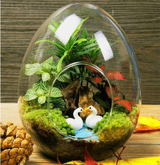 6-Pack Glass Terrarium Self-Standing Egg Shaped Design - Modern Planter for Air Plants & Displays 5"