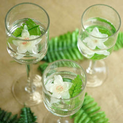 Set of 3 Glass Cylinder Vases Long Stem Clear - Decorative Candle Holder Floral Centerpieces 12", 14", 16"