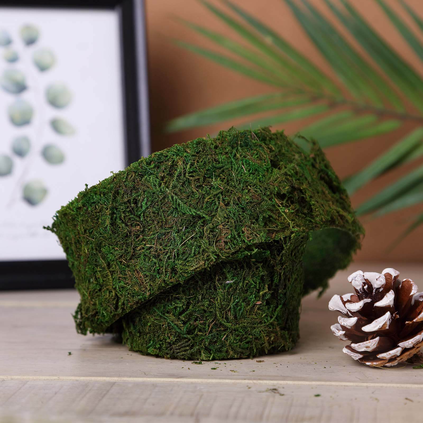 4ft 2" Wide Green Preserved Moss Ribbon Roll, DIY Craft Ribbon