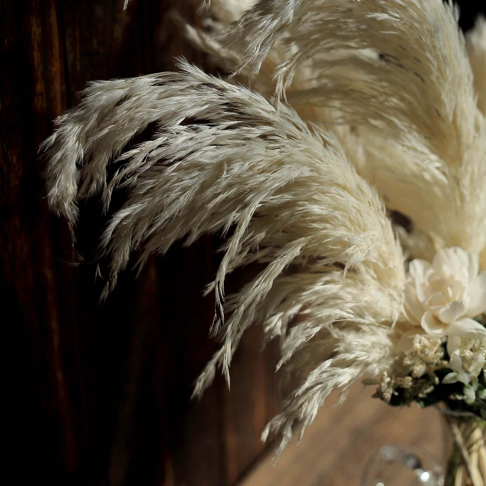 6 Stems Natural Dried Pampas Grass Decor Off White Tint - Versatile Plant Sprays for Boho Chic Vase Displays Backdrops & Event Styling 32"