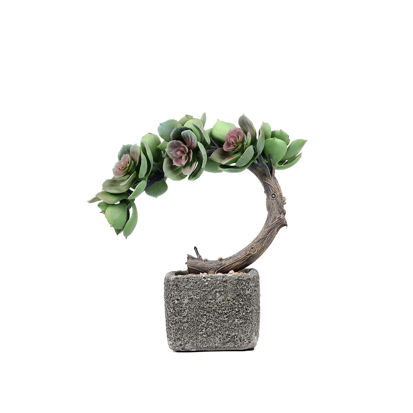 Perle Von Nurnberg Artificial Succulents in Concrete Pot - Lifelike Decorative Faux Plants for Home Office & Event Design 8"