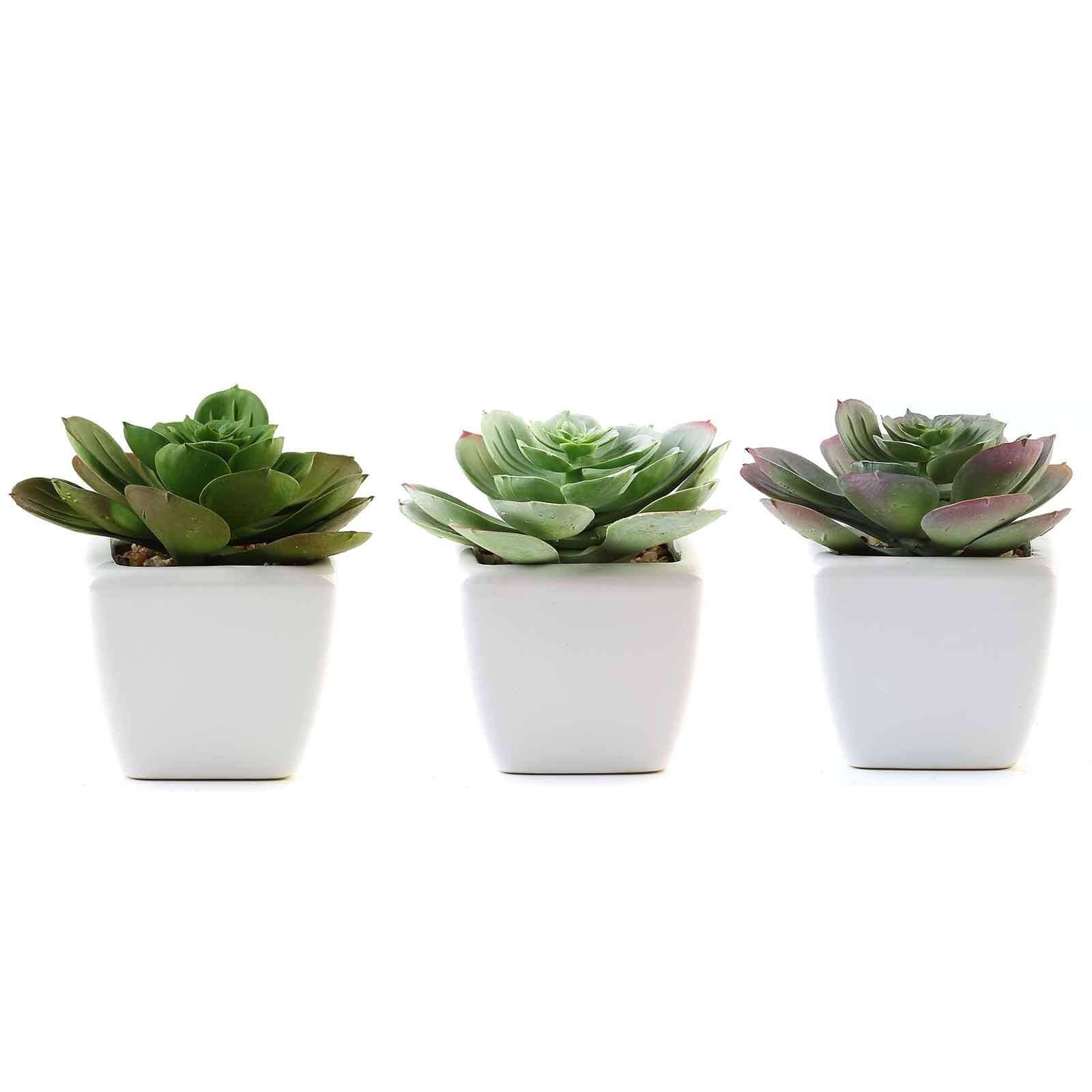 3-Pack Echeveria Artificial Succulents in Ceramic Pot - Lifelike Decorative Faux Plants for Home Office & Event Design 4"