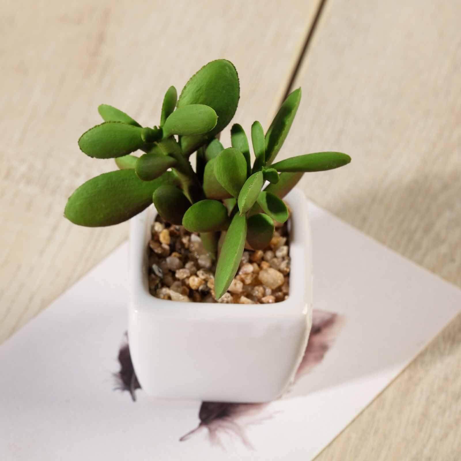 3-Pack Mini Jade Artificial Succulents in Ceramic Pots - Lifelike Decorative Faux Plants for Home Office & Event Design 3"