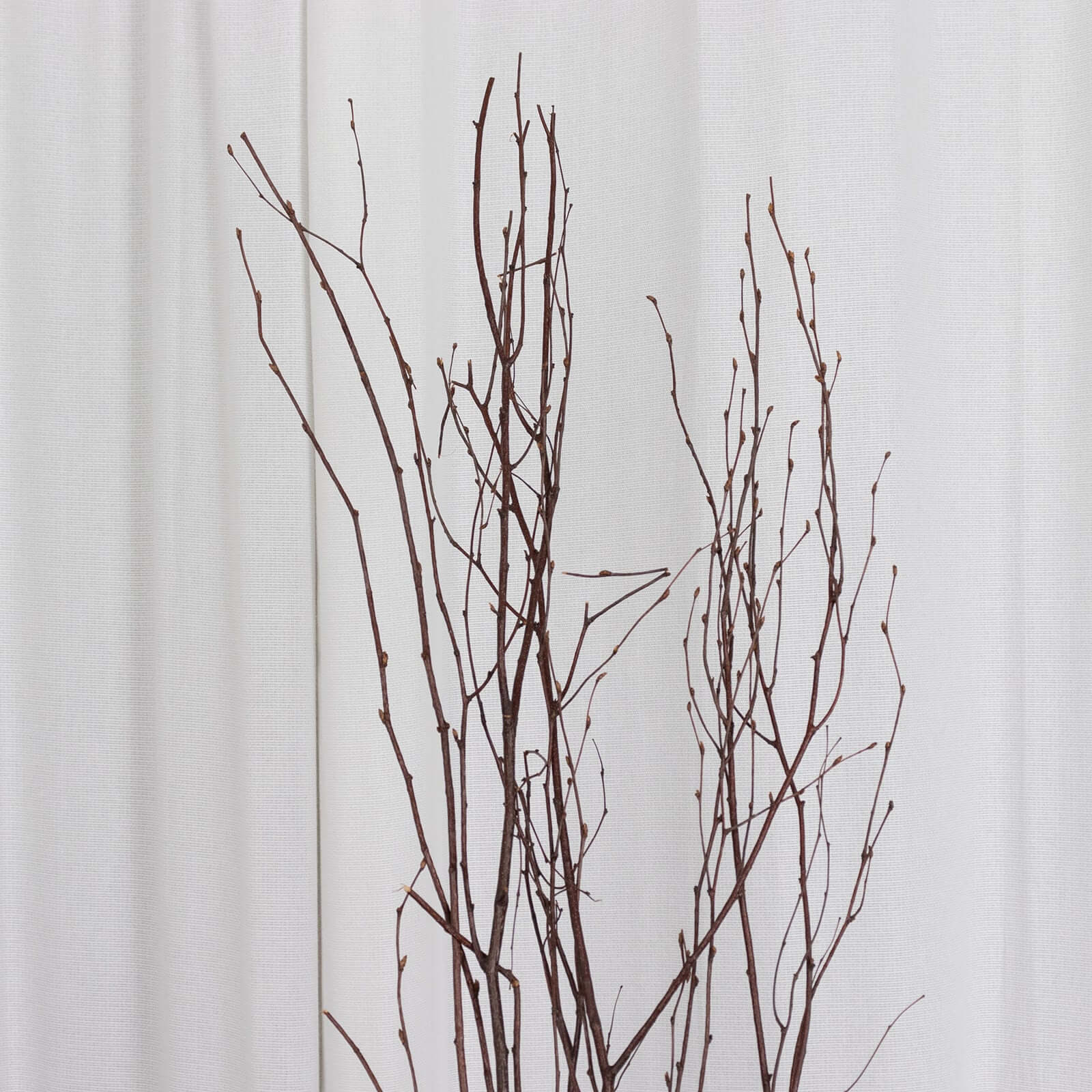 6-Pack Natural Birch Tree Branches 46" Natural - Versatile Extra Long Decorative Dried Willow Twigs Sticks for Vase Centerpiece Wedding Decor