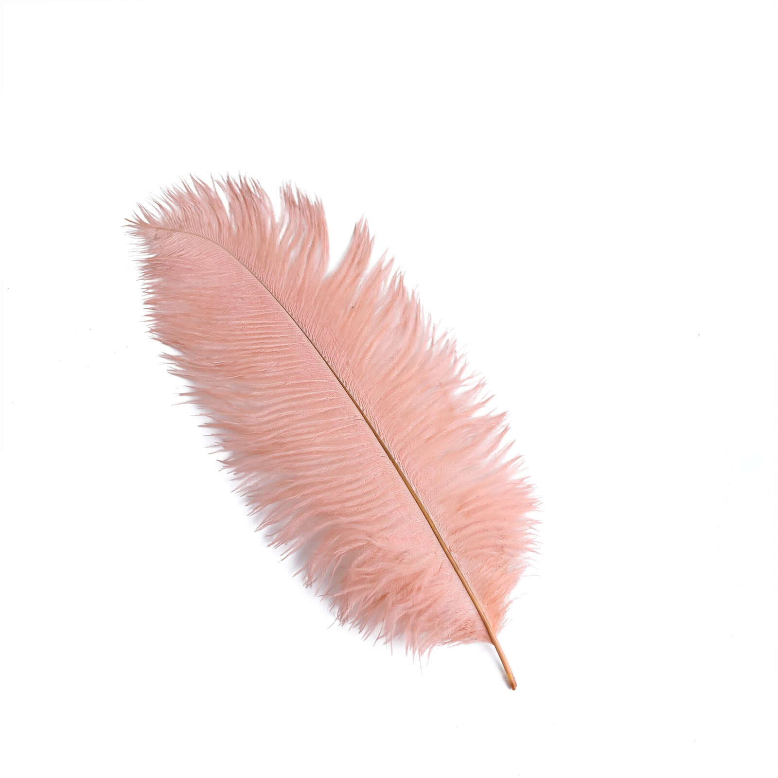 12 Pack 13"-15" Mauve Natural Plume Real Ostrich Feathers, DIY Centerpiece Fillers