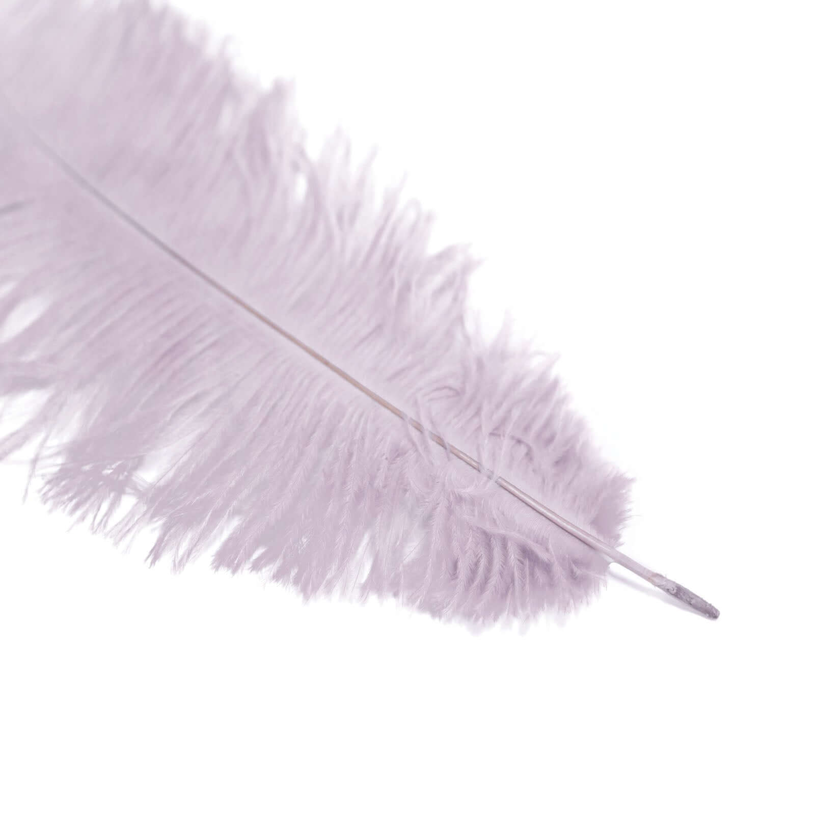 12 Pack 13"-15" Violet Amethyst Natural Plume Real Ostrich Feathers, DIY Centerpiece Fillers