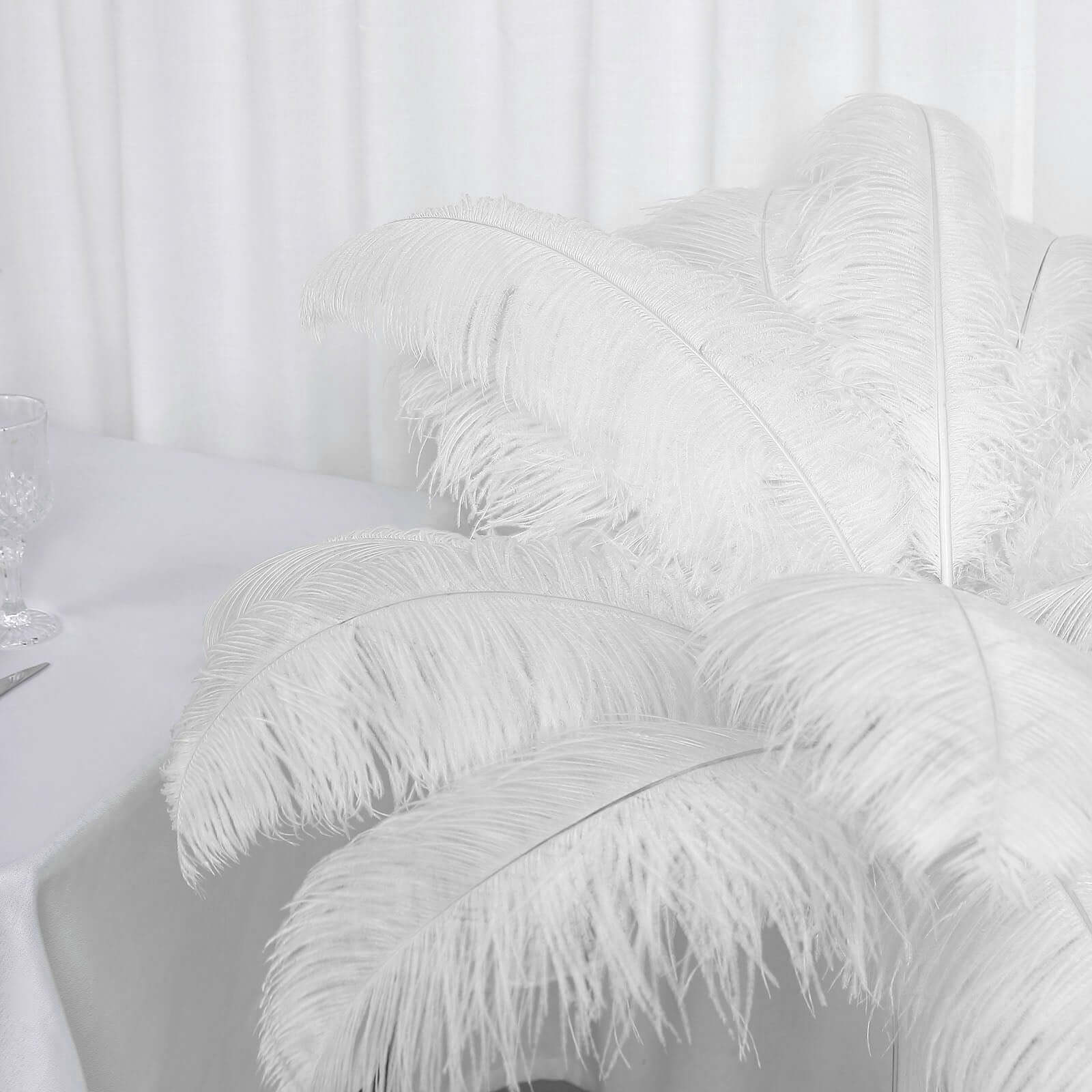 12 Pack White Natural Plume Ostrich Feathers Centerpiece Filler - 24"-26"