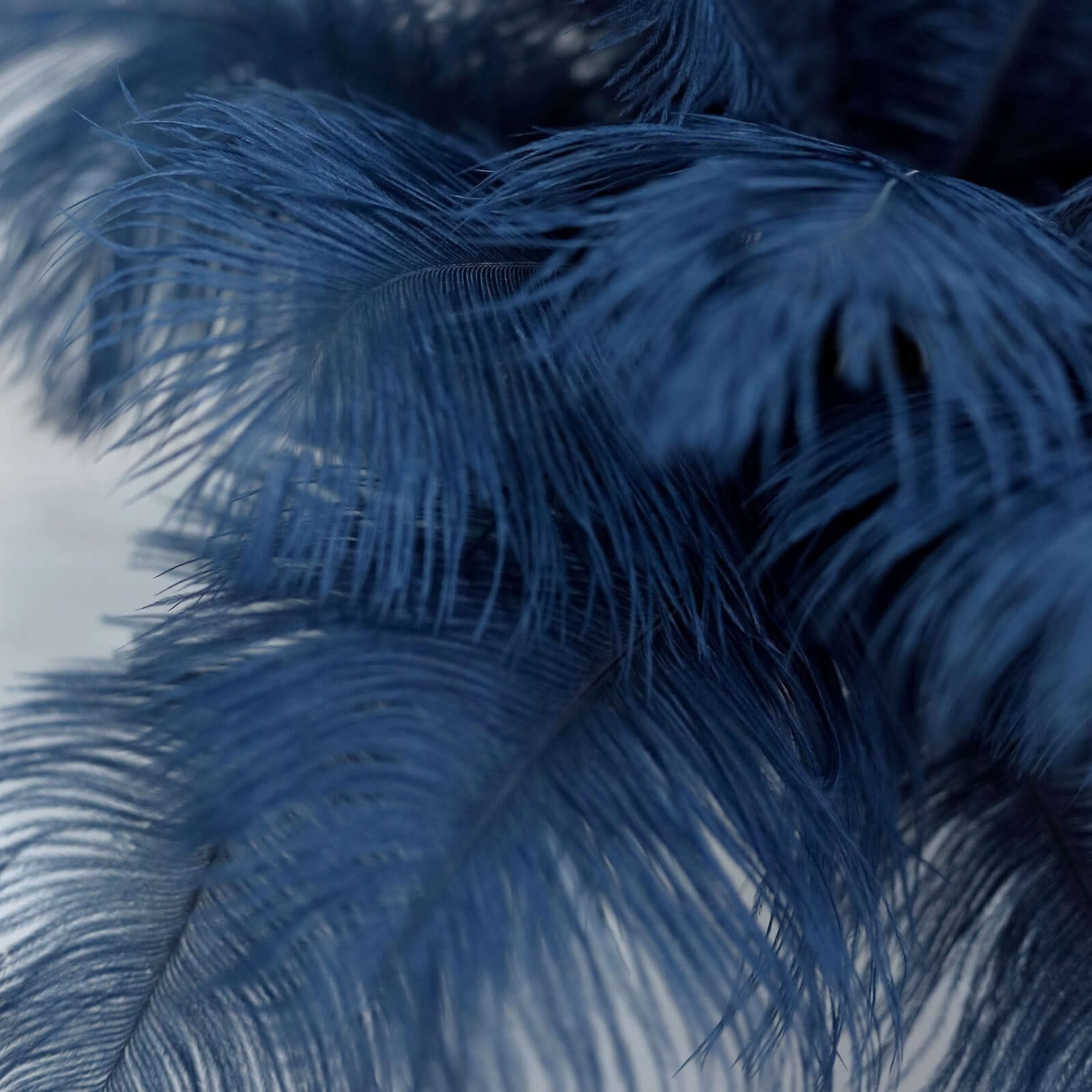 12 Pack 13"-15" Navy Blue Natural Plume Real Ostrich Feathers, DIY Centerpiece Fillers