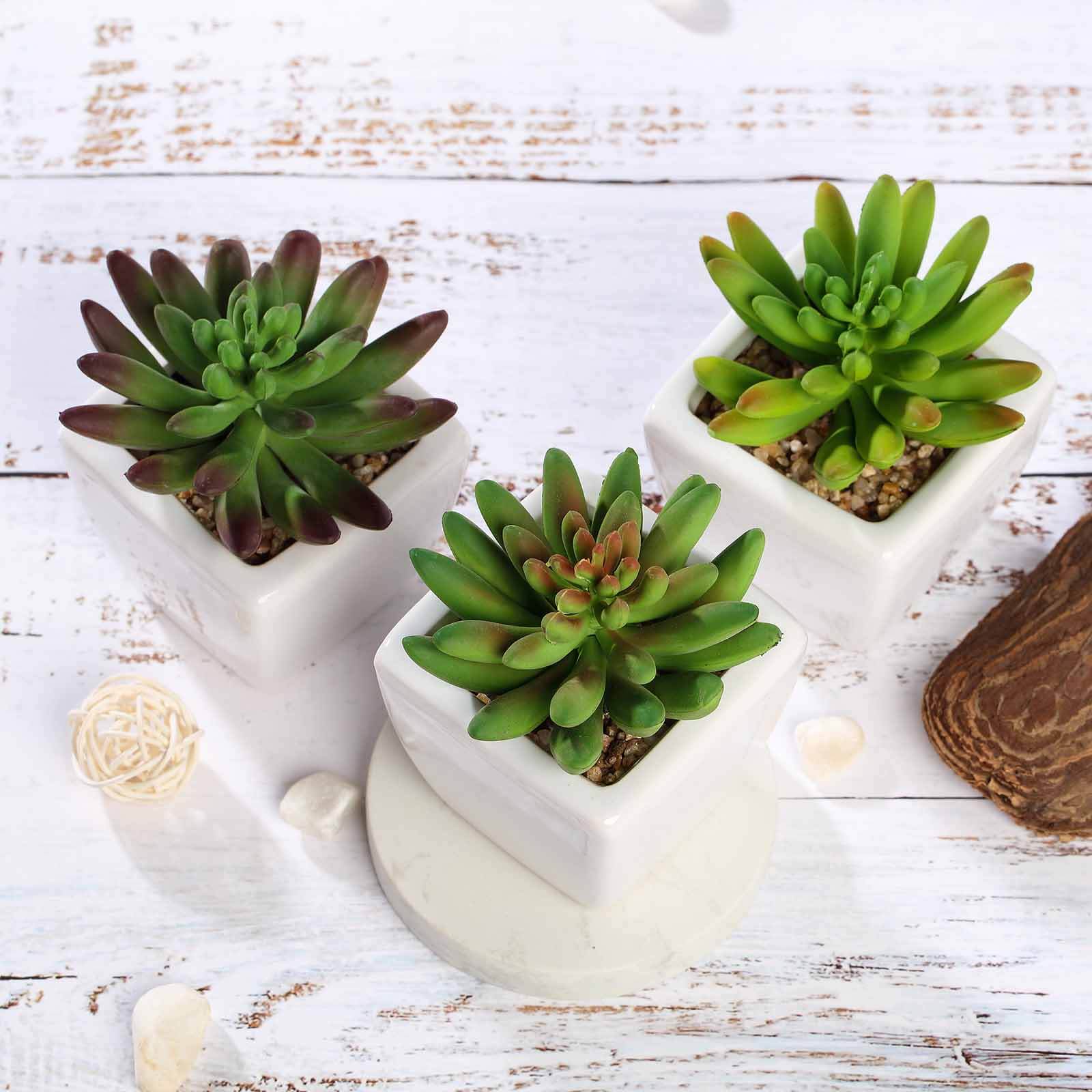 3-Pack Lotus Artificial Succulents in Ceramic Pot - Lifelike Decorative Faux Plants for Home Office & Event Design 4"