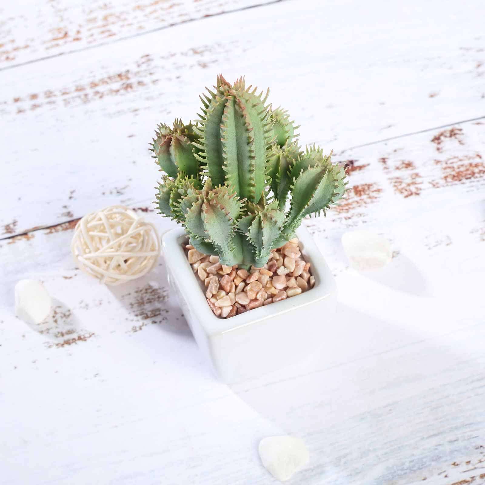 3-Pack Cacti Artificial Succulents in Ceramic Pot - Lifelike Decorative Faux Plants for Home Office & Event Design 5"