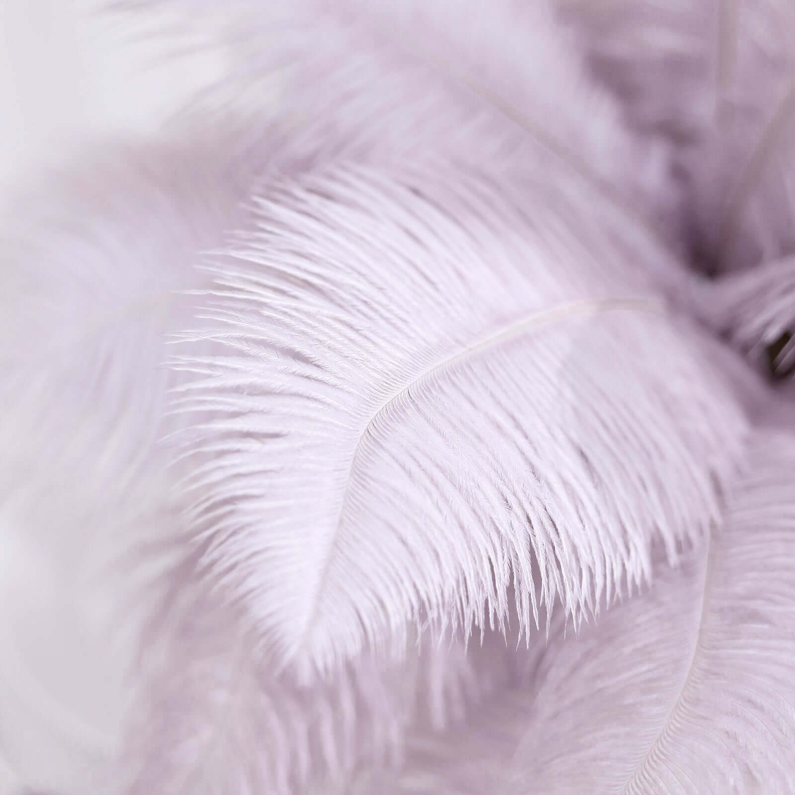 12 Pack 13"-15" Violet Amethyst Natural Plume Real Ostrich Feathers, DIY Centerpiece Fillers