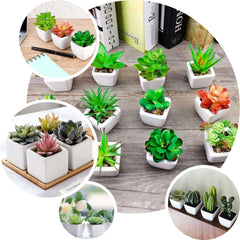 3-Pack Sedum Artificial Succulents in Ceramic Pot - Lifelike Decorative Faux Plants for Home Office & Event Design 8"