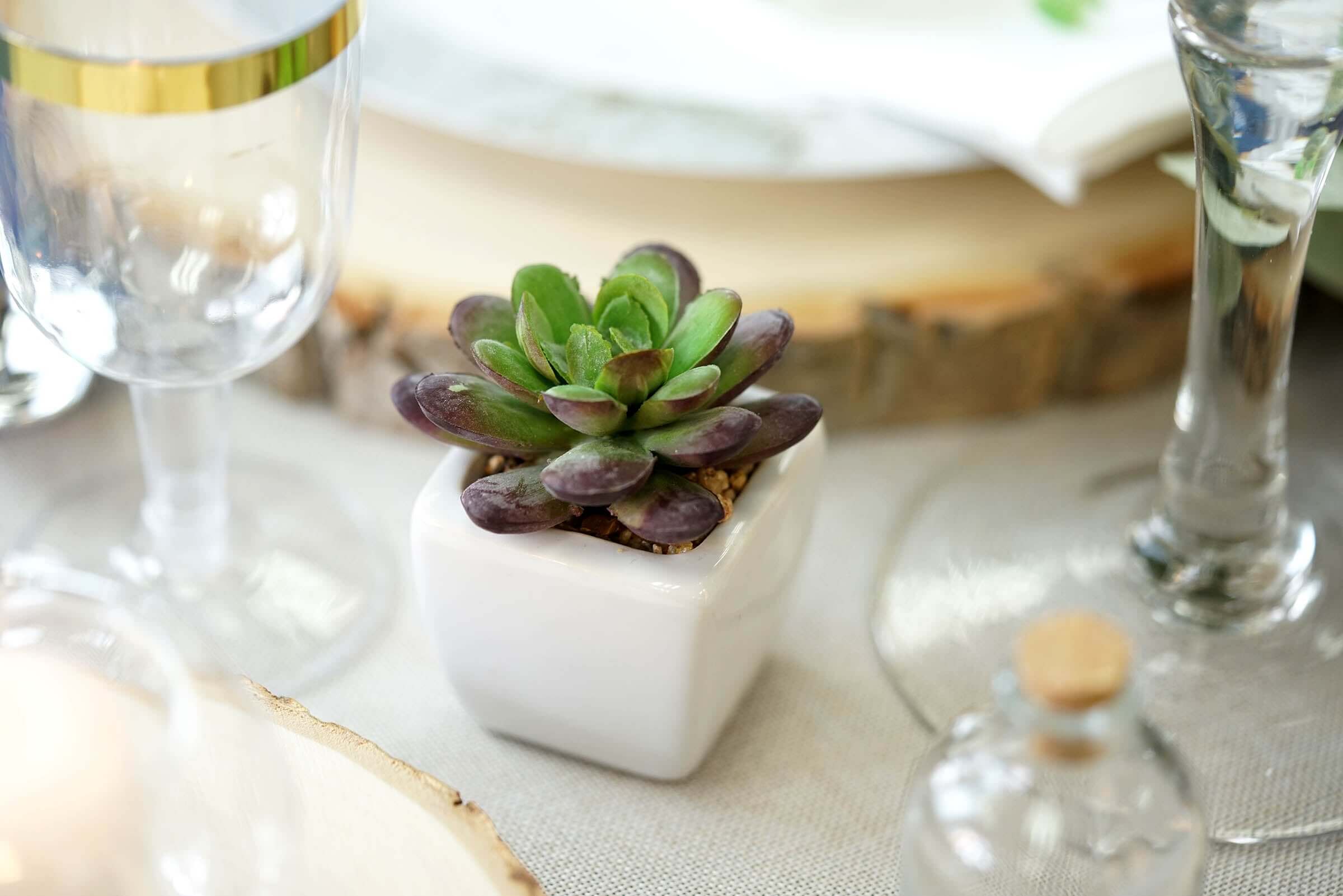 3-Pack Echeveria Artificial Succulents in Ceramic Pot - Lifelike Decorative Faux Plants for Home Office & Event Design 4"