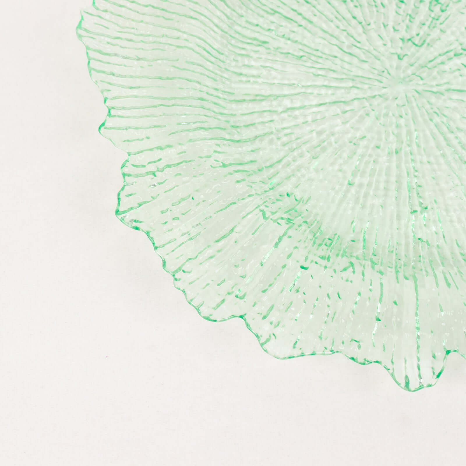 6-Pack Acrylic Plastic Round Charger Plates 13" in Transparent Green with Reef Design, Dinner Charger Tableware