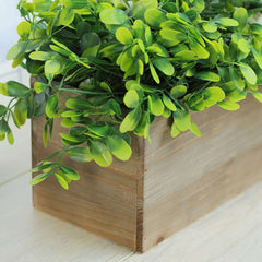 Natural Wood Planter Rectangular Box 18"x6"- Durable Decor with Removable Plastic Liner for Table Displays