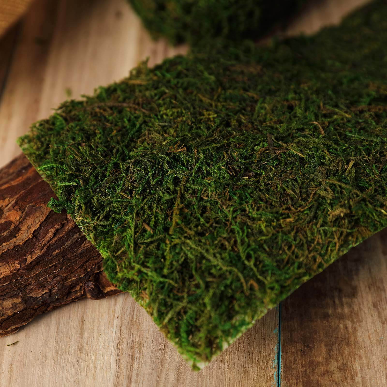 4ft 5" Wide Green Preserved Moss Ribbon Roll, DIY Craft Ribbon