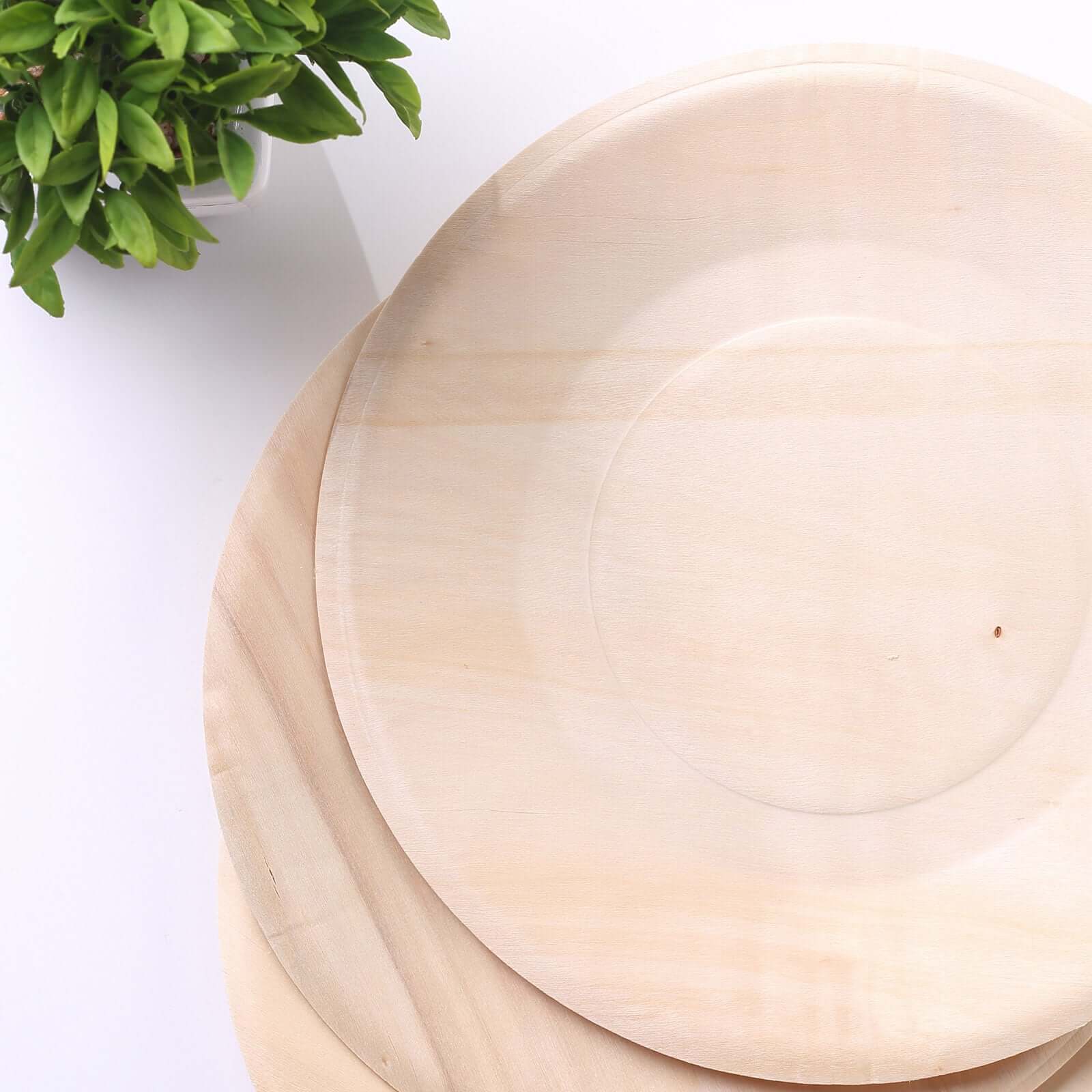 25-Pack Birchwood 9" Round Dinner Plates - Natural Eco Friendly Wooden Disposable Plates for Farmhouse-Style Events, Parties & Gatherings