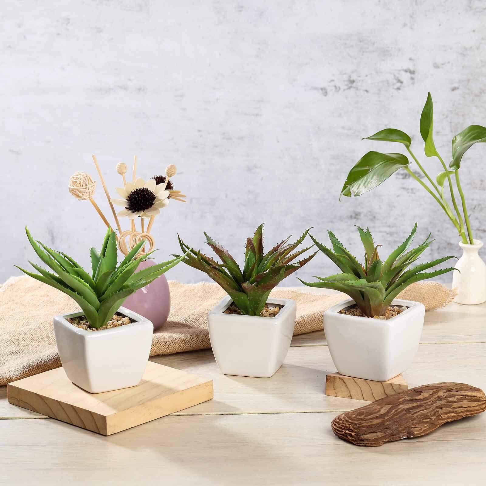3-Pack Spotted Aloe Vera Artificial Succulents in Ceramic Pot - Lifelike Decorative Faux Plants for Home Office & Event Design 5"
