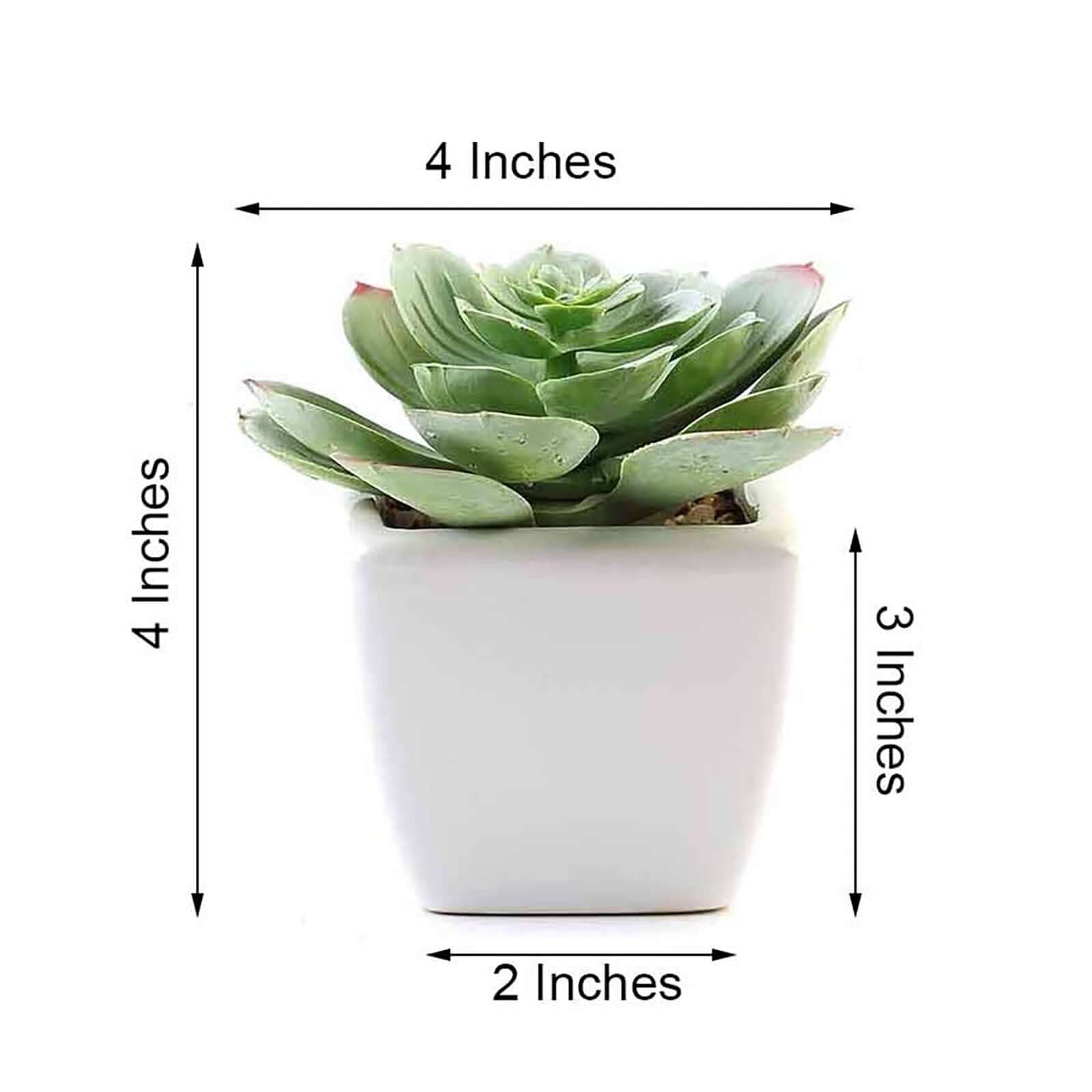 3-Pack Echeveria Artificial Succulents in Ceramic Pot - Lifelike Decorative Faux Plants for Home Office & Event Design 4"